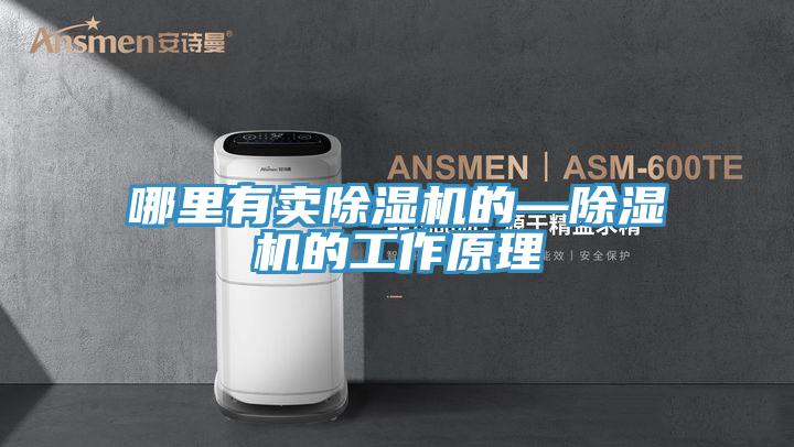 哪里有賣(mài)除濕機的—除濕機的工作原理