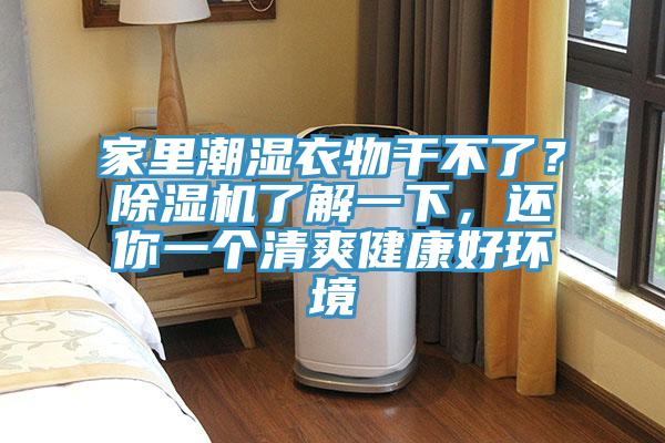 家里潮濕衣物干不了？除濕機了解一下，還你一個(gè)清爽健康好環(huán)境