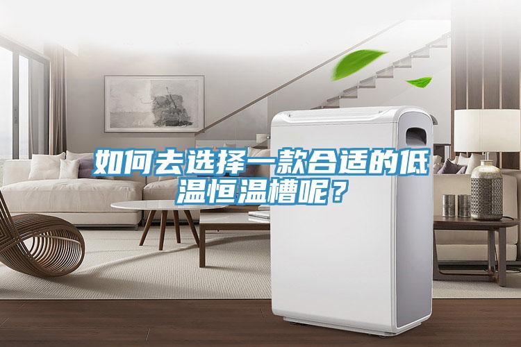 如何去選擇一款合適的低溫恒溫槽呢？