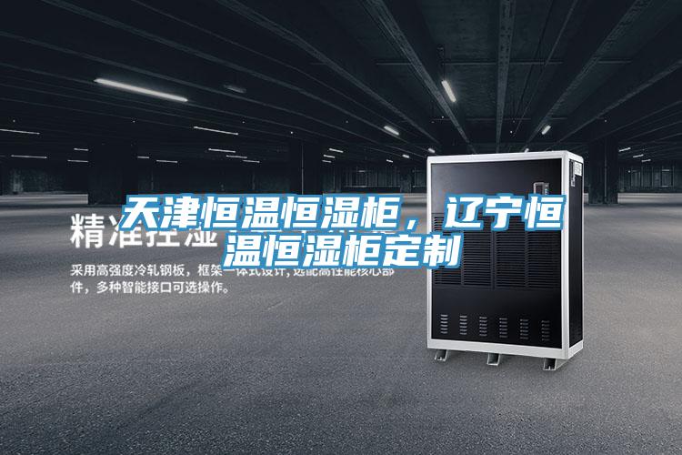 天津恒溫恒濕柜，遼寧恒溫恒濕柜定制