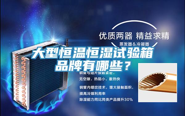大型恒溫恒濕試驗箱品牌有哪些？