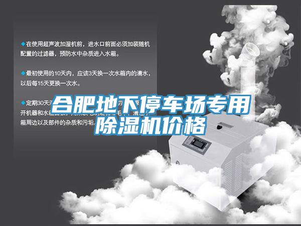 合肥地下停車(chē)場(chǎng)專(zhuān)用除濕機價(jià)格