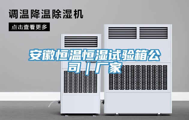 安徽恒溫恒濕試驗箱公司｜廠(chǎng)家