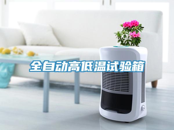 全自動(dòng)高低溫試驗箱