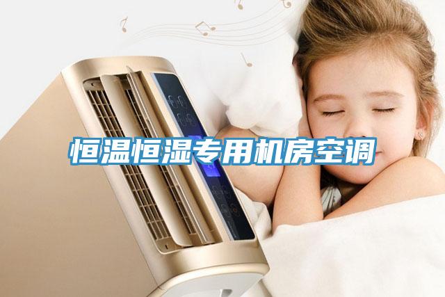 恒溫恒濕專(zhuān)用機房空調