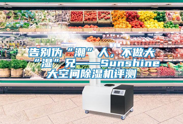 告別偽“潮”人，不做大“濕”兄——Sunshine大空間除濕機評測
