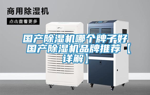 國產(chǎn)除濕機哪個(gè)牌子好 國產(chǎn)除濕機品牌推薦【詳解】