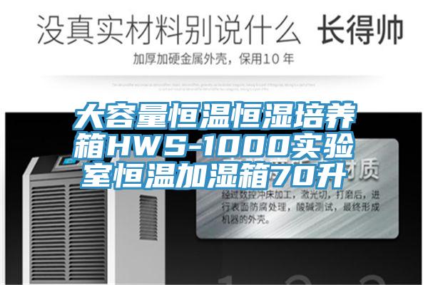 大容量恒溫恒濕培養箱HWS-1000實(shí)驗室恒溫加濕箱70升