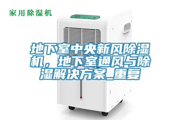 地下室中央新風(fēng)除濕機，地下室通風(fēng)與除濕解決方案_重復