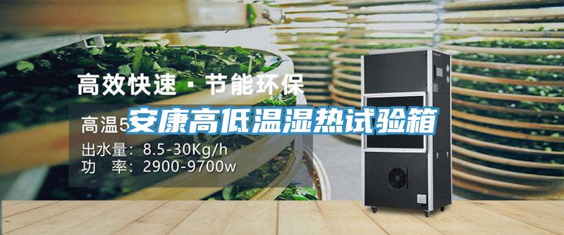 安康高低溫濕熱試驗箱