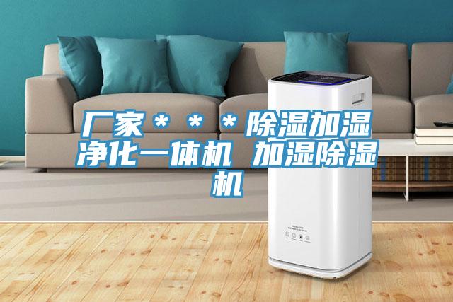 廠(chǎng)家＊＊＊除濕加濕凈化一體機 加濕除濕機