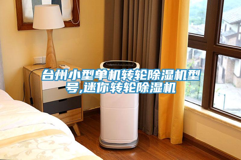 臺州小型單機轉輪除濕機型號,迷你轉輪除濕機