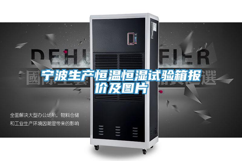 寧波生產(chǎn)恒溫恒濕試驗箱報價(jià)及圖片