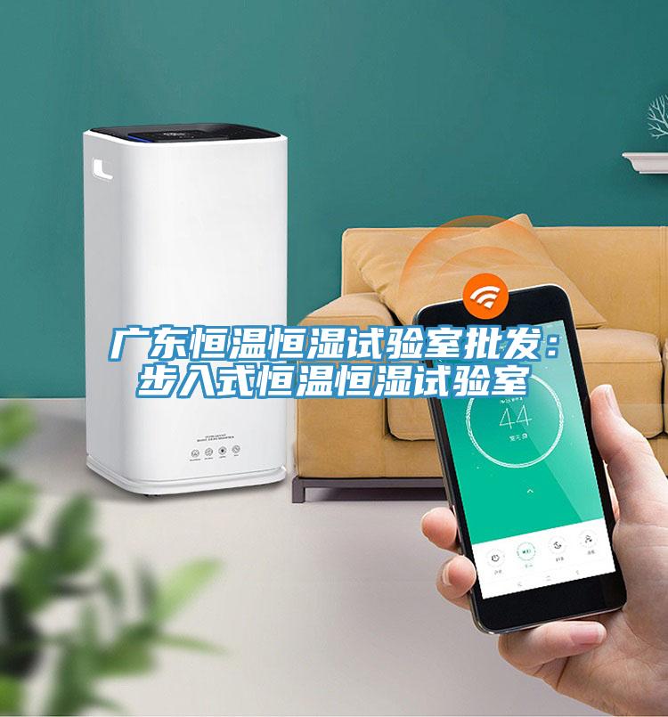 廣東恒溫恒濕試驗室批發(fā)：步入式恒溫恒濕試驗室