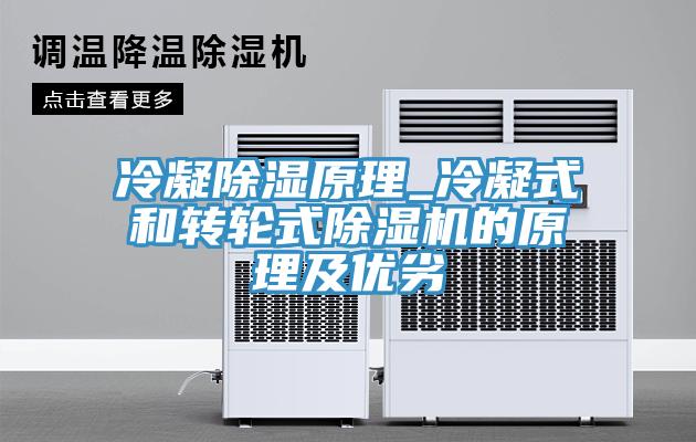 冷凝除濕原理_冷凝式和轉輪式除濕機的原理及優(yōu)劣