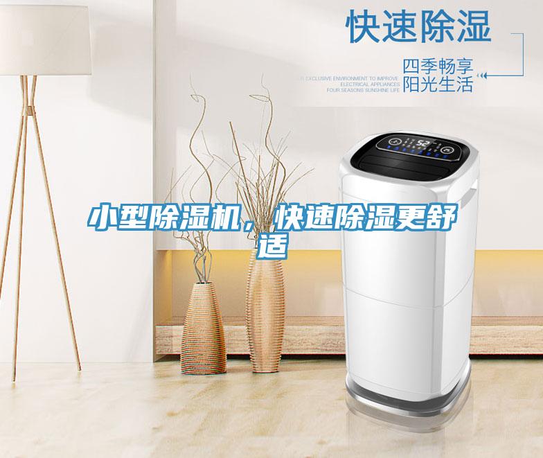 小型除濕機，快速除濕更舒適
