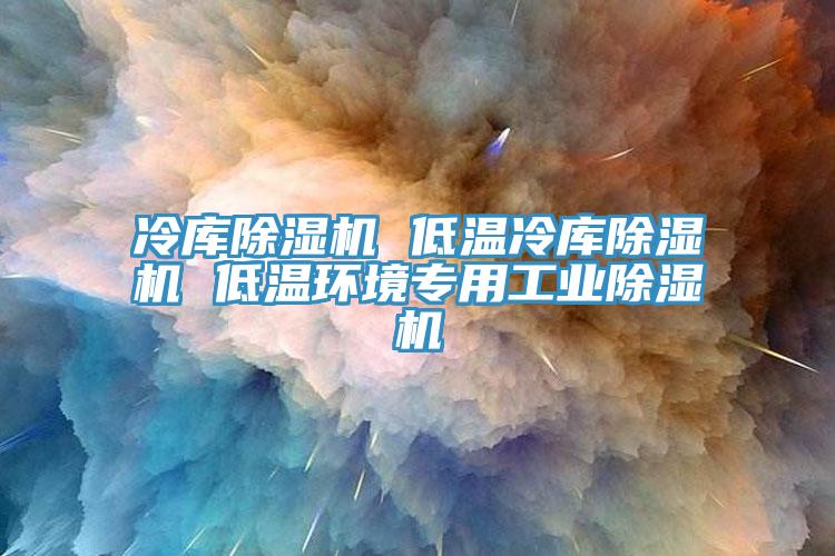 冷庫除濕機 低溫冷庫除濕機 低溫環(huán)境專(zhuān)用工業(yè)除濕機