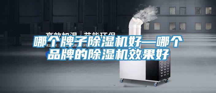 哪個(gè)牌子除濕機好—哪個(gè)品牌的除濕機效果好