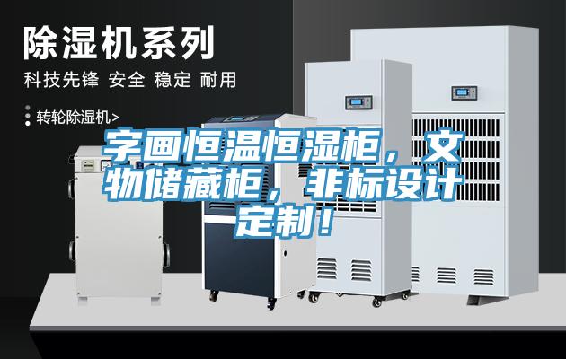字畫(huà)恒溫恒濕柜，文物儲藏柜，非標設計定制！