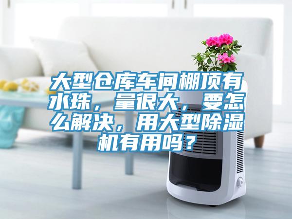 大型倉庫車(chē)間棚頂有水珠，量很大，要怎么解決，用大型除濕機有用嗎？