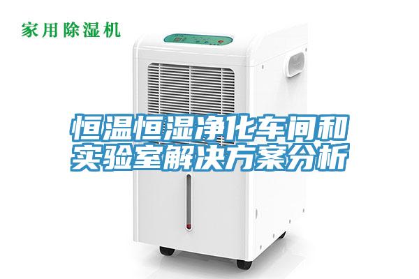 恒溫恒濕凈化車(chē)間和實(shí)驗室解決方案分析