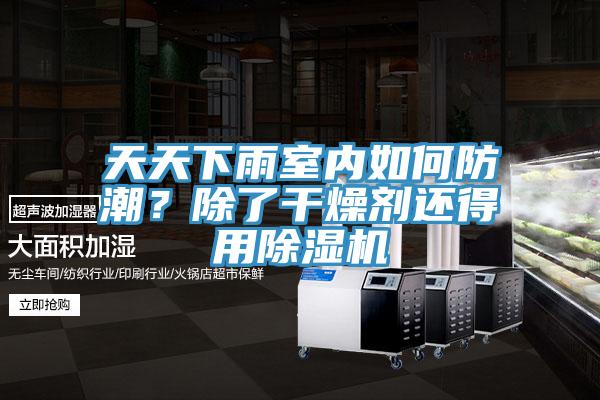 天天下雨室內如何防潮？除了干燥劑還得用除濕機