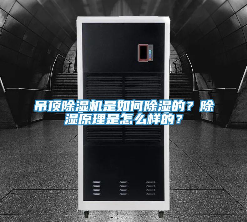 吊頂除濕機是如何除濕的？除濕原理是怎么樣的？