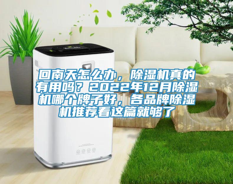 回南天怎么辦，除濕機真的有用嗎？2022年12月除濕機哪個(gè)牌子好，各品牌除濕機推薦看這篇就夠了