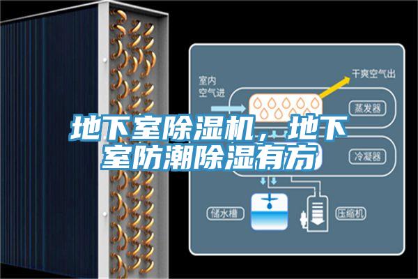 地下室除濕機，地下室防潮除濕有方