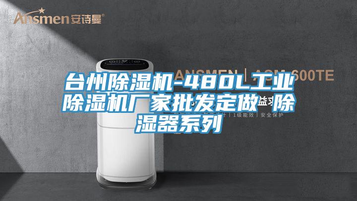 臺州除濕機-480L工業(yè)除濕機廠(chǎng)家批發(fā)定做 除濕器系列