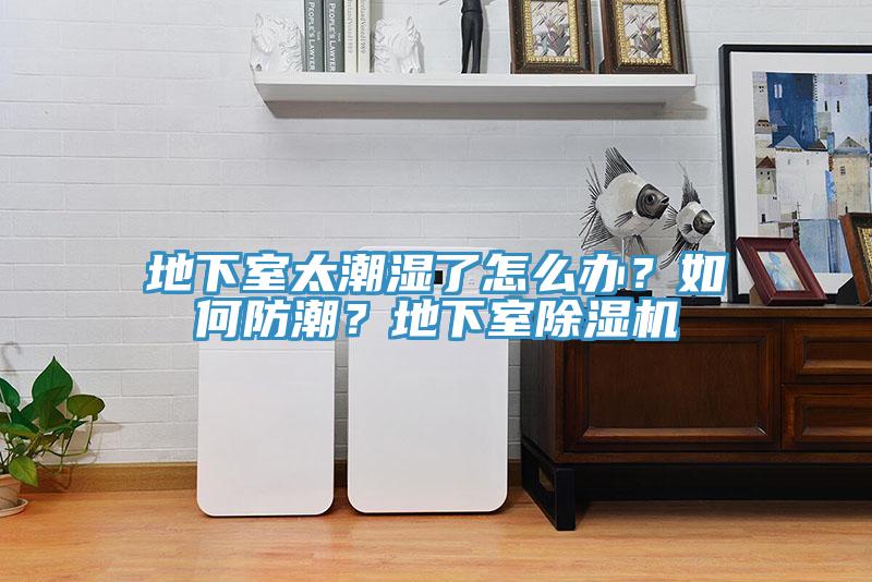 地下室太潮濕了怎么辦？如何防潮？地下室除濕機