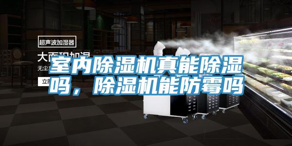 室內除濕機真能除濕嗎，除濕機能防霉嗎