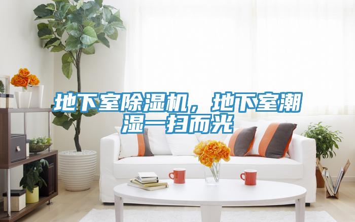 地下室除濕機，地下室潮濕一掃而光