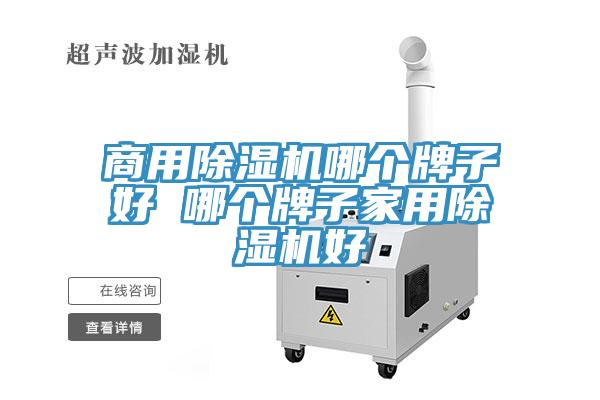 商用除濕機哪個(gè)牌子好 哪個(gè)牌子家用除濕機好