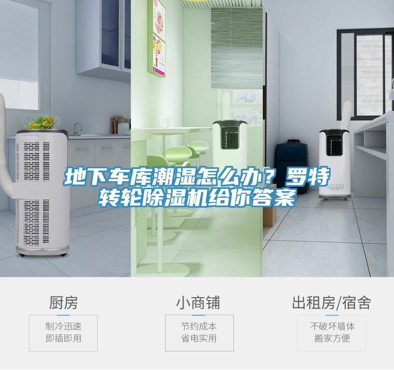地下車(chē)庫潮濕怎么辦？羅特轉輪除濕機給你答案