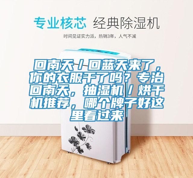 回南天／回藍天來(lái)了，你的衣服干了嗎？專(zhuān)治回南天，抽濕機／烘干機推薦，哪個(gè)牌子好這里看過(guò)來(lái)