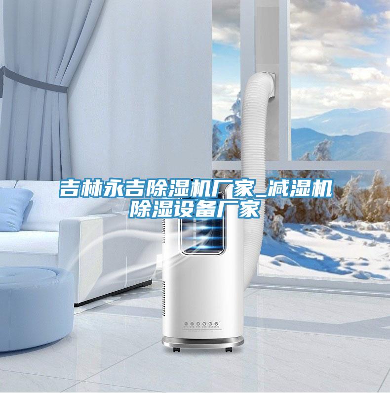 吉林永吉除濕機廠(chǎng)家_減濕機除濕設備廠(chǎng)家