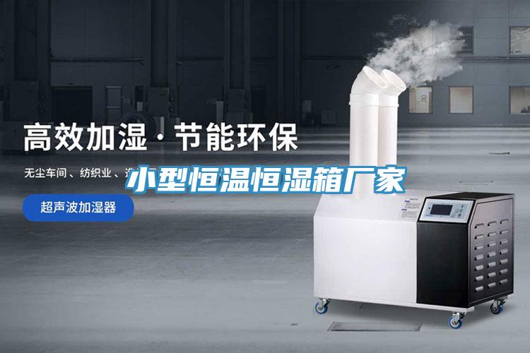 小型恒溫恒濕箱廠(chǎng)家