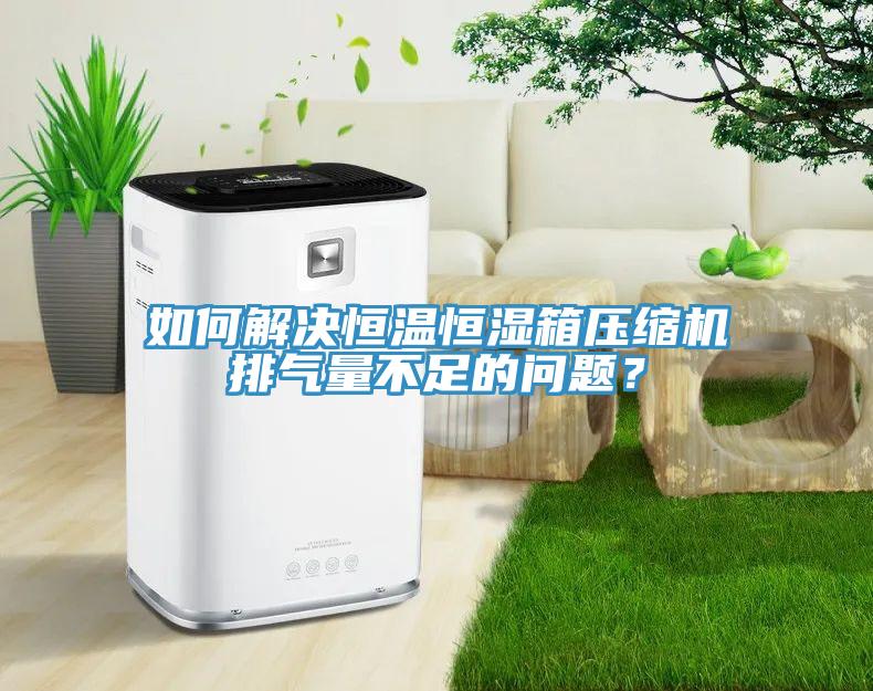 如何解決恒溫恒濕箱壓縮機排氣量不足的問(wèn)題？