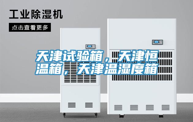 天津試驗箱，天津恒溫箱，天津溫濕度箱