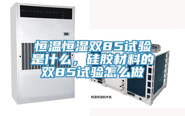 恒溫恒濕雙85試驗是什么，硅膠材料的雙85試驗怎么做