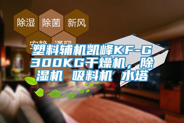 塑料輔機凱峰KF-G300KG干燥機，除濕機 吸料機 水塔
