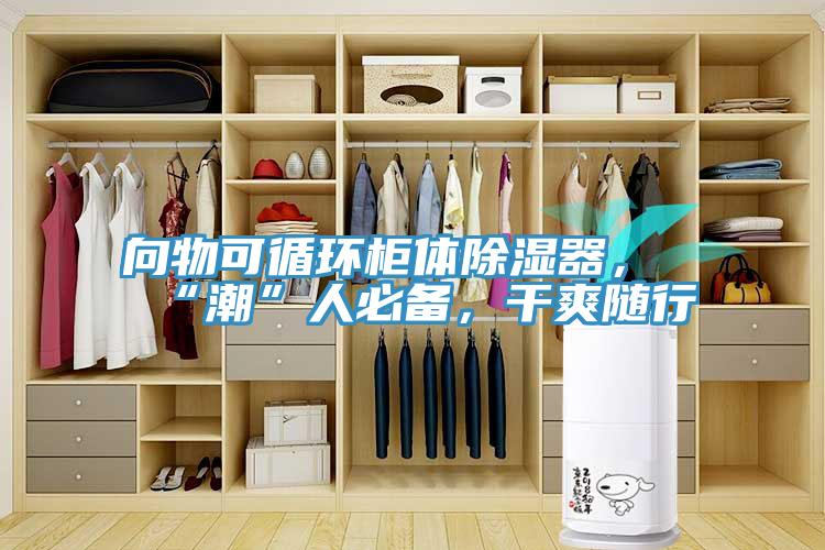 向物可循環(huán)柜體除濕器，“潮”人必備，干爽隨行