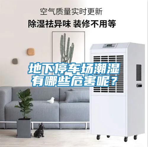 地下停車(chē)場(chǎng)潮濕有哪些危害呢？