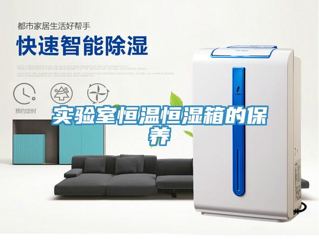 實(shí)驗室恒溫恒濕箱的保養