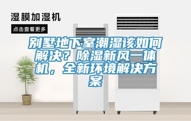 別墅地下室潮濕該如何解決？除濕新風(fēng)一體機，全新環(huán)境解決方案