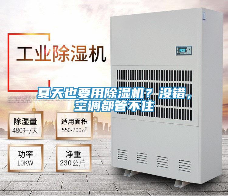 夏天也要用除濕機？沒(méi)錯，空調都管不住
