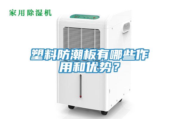 塑料防潮板有哪些作用和優(yōu)勢？