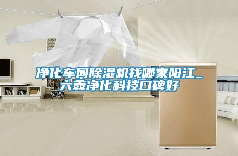 凈化車(chē)間除濕機找哪家陽(yáng)江_六鑫凈化科技口碑好