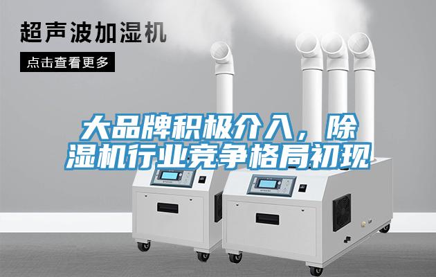 大品牌積極介入，除濕機行業(yè)競爭格局初現